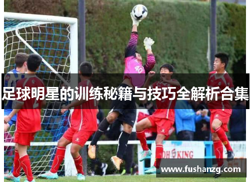 足球明星的训练秘籍与技巧全解析合集