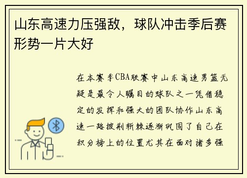 山东高速力压强敌，球队冲击季后赛形势一片大好